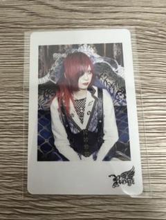 Royz 公大 チェキ91枚 Royz 公大 チェキ91枚