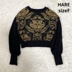 HARE（ハレ）の「2WAYゴブランキリカエプルオーバー(HARE