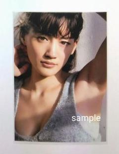 Amazon.co.jp: 綾瀬はるか写真B サイズはL版です。30枚セット