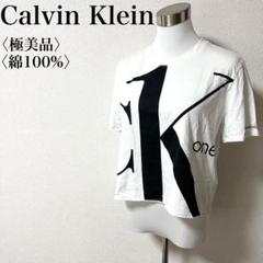 【極美品】カルバンクラインCalvin Klein ロゴ クロップドTシャツ