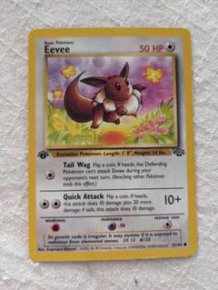 英語版初期　ポケモンカード　Eevee 1st Edition