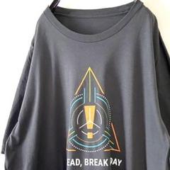 GO AHEAD,BREAK MY DAY Tシャツ グレー 灰色 古着
