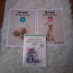 2025年最新】愛犬飼育スペシャリストの人気アイテム - メルカリ