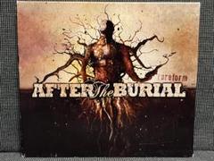 2025年最新】After The burialの人気アイテム - メルカリ