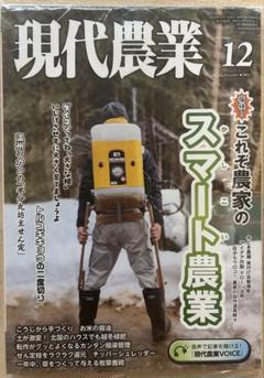 現代農業　まとめ売り 91zVBhUyWrL._UF350,350_QL50_.jpg