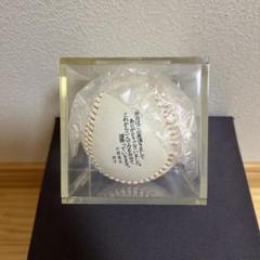 片岡篤史　記念ボール　日本ハム　阪神タイガース　　PL学園のサムネイル