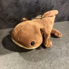 京都水族館　オオサンショウウオ　ぬいぐるみセット　大　中　小 2025年最新】京都水族館 オオサンショウウオ ぬいぐるみの人気