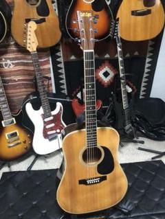 70年後期〜80年 トップ、エゾ松JAPANビンテージ キャツアイCE200特価