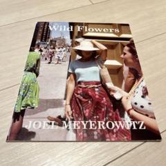 2025年最新】joel meyerowitzの人気アイテム - メルカリ