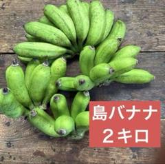 島バナナ⭐️訳あり 島バナナ⭐️3キロ⭐️訳あり - メルカリ