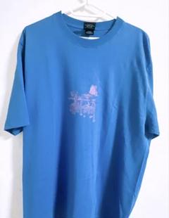Stussy “In Bloom” Tee - Medium -Blue - New With Tags