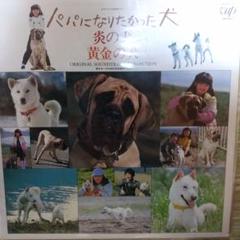 パパにおまかせ！犬