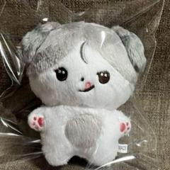 &TEAM k ケイ マスター ぬいぐるみ 人形 &TEAM k ケイ マスター ぬいぐるみ 人形 - メルカリ