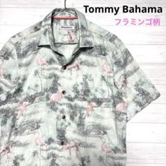Tommy Bahama トミーバハマ レギュラーカラーシャツ フラミンゴ柄