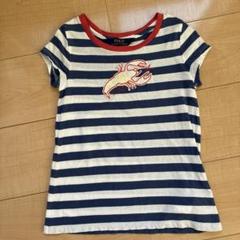 ラルフキッズ　POLO RALPH LAUREN ストライプ Tシャツ　サイズ6