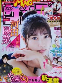 日向坂46　引退品　雑誌切り抜き 2243111907.jpg?1713855170