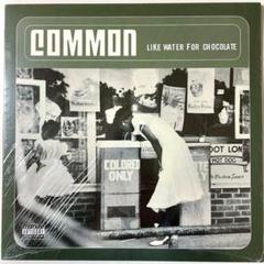 Common Like Water for Chocolate 2LPレコード Common - Like Water For Chocolate (Vinyl LP)