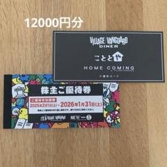 ヴィレッジヴァンガード優待券12000円分 - メルカリ