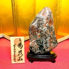 菊花石 岐阜県根尾谷産1.2㌔ 鑑賞石 観賞石 水石 盆石 天然石