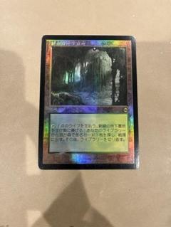MTG 旧枠 foil 2枚セット 新緑の地下墓地 英語 ミントモール / MINT GAMES MTG(東日本橋) / 【MH2】【ENG