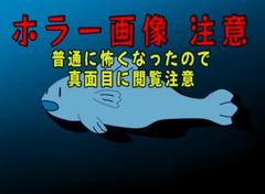 レビュー有り！！】幸運が訪れる！？☆深海の神秘☆Ocean Power