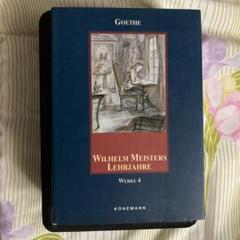Wilhelm Meisters Lehrjahre 第4巻