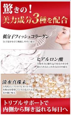 健康 美 サプリメント