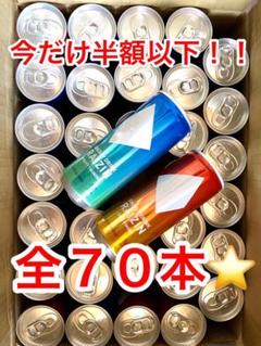 ライジン RAIZIN ハードジンジャー&フルーティーサンダー 全70本⭐︎