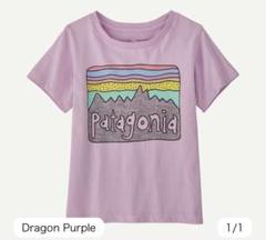 【新品未使用】　patagonia オーガニック　Tシャツ 6-12M