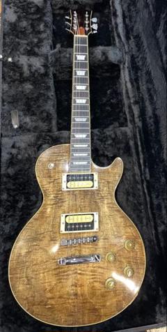 フェルナンデス MONTEREY レスポールタイプ 輸出用 レア rectangle_large_type_2_f157635