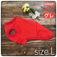 あずページ　イタグレ服　ハンドメイド Amazon | [FRENCH FRENCH] イタリアングレーハウンド ミニピン