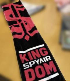 SPYAIR マフラータオル　2015年〜2018年　13枚セット　スパイエアー SPYAIR マフラータオル 2015年〜2018年 13枚セット スパイエアー
