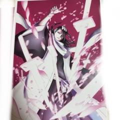 Π 【未使用】BLEACH 選べる!等身大布ポスター 朽木白哉 000000008816_H11dhll.jpg