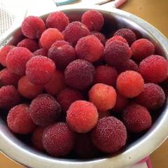 大玉やまもも１箱➕訳あり1キロ 訳あり✳︎やまもも 1kg の通販 by risully's shop｜ラクマ