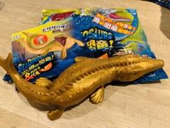 まるで獣脚類のようなモササウルスの巨大歯約70mm