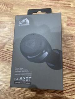 Victor HA-A30T ワイヤレスイヤフォンのサムネイル