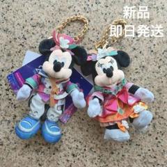 香港ディズニーランド 20周年 ミッキー ミニー ぬいぐるみキーチェーン セット