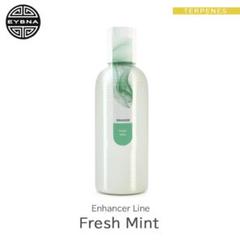 Eybna イブナ 香料 CBD CBN CBG 10ml フレッシュミント - メルカリ