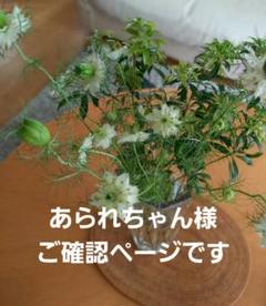 あられちゃん様　専用ページ Dr.スランプアラレちゃん wase様専用 - メルカリ