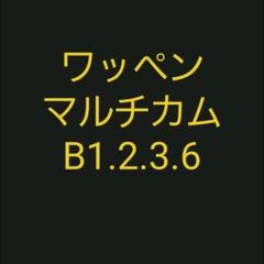 専門ショップ Aor2 総額6万円相当!+1万円相当のオマケ!サバゲ装備 激安通販 バラ不可 総額6万円相当!+1万円相当のオマケ!サバゲ装備セット!! Aor2 個人装備