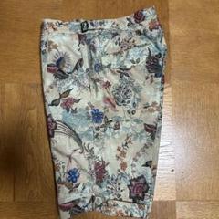 【美品】PT01 ショートパンツ バミューダ 44