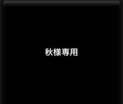 特捜戦隊デカレンジャー 戦隊職人　マスターライセンス
