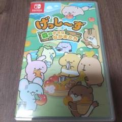 げっし〜ず 森の小さななかまたち Nintendo Switch げっしーず