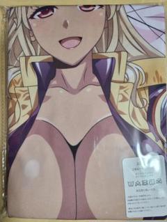 モンスター娘のいる日常 抱き枕の中古 未使用品 メルカリ