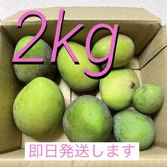 摘果マンゴー3kgグリーンマンゴー青マンゴーいろんなサイズ 7/7