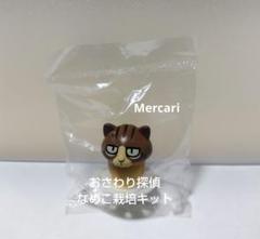 2025年最新】ねこなめこの人気アイテム - メルカリ