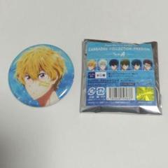Free! FS 缶バッジ 葉月渚 passion - メルカリ
