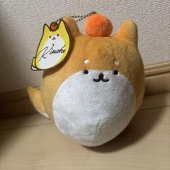 2025年最新】KINAKO ぬいぐるみ きなこ犬の人気アイテム - メルカリ