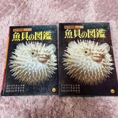 2025年最新】魚貝図鑑の人気アイテム - メルカリ