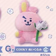 Cooky ぬいぐるみ ぬいぐるみバッジ(NEXT STAGE) COOKY – LINE FRIENDS SQUARE